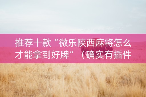 推荐十款“微乐陕西麻将怎么才能拿到好牌”（确实有插件吗)