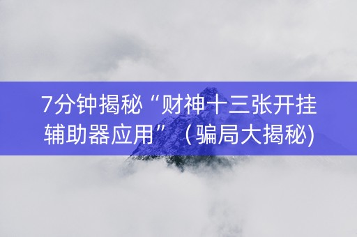 7分钟揭秘“财神十三张开挂辅助器应用”（骗局大揭秘)