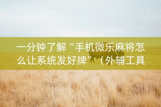 一分钟了解“手机微乐麻将怎么让系统发好牌”（外辅工具)
