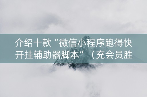 介绍十款“微信小程序跑得快开挂辅助器脚本”（充会员胜率高)