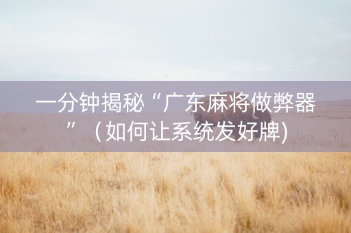 一分钟揭秘“广东麻将做弊器”（如何让系统发好牌)