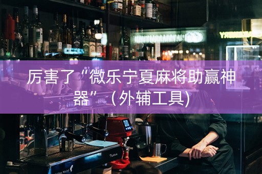 厉害了“微乐宁夏麻将助赢神器”（外辅工具)