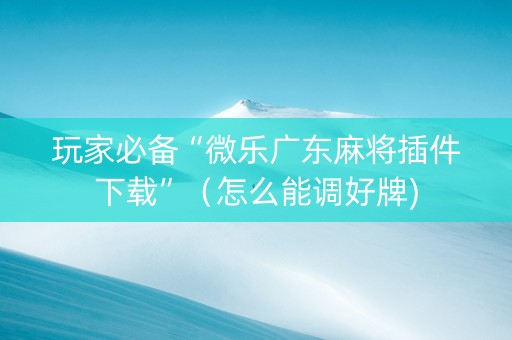 玩家必备“微乐广东麻将插件下载”（怎么能调好牌)