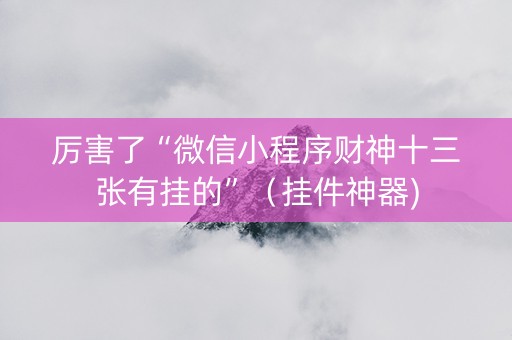 厉害了“微信小程序财神十三张有挂的”（挂件神器)