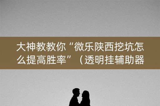 大神教教你“微乐陕西挖坑怎么提高胜率”（透明挂辅助器)