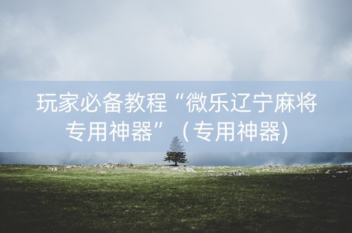 玩家必备教程“微乐辽宁麻将专用神器”（专用神器)