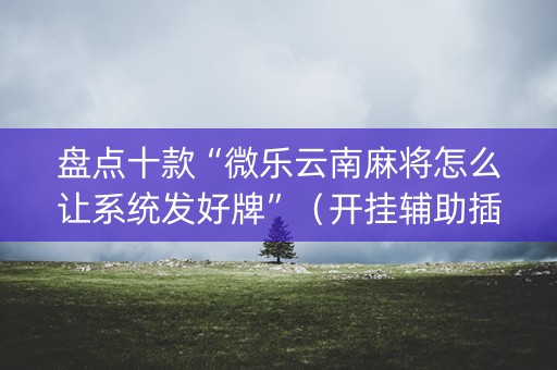 盘点十款“微乐云南麻将怎么让系统发好牌”（开挂辅助插件)