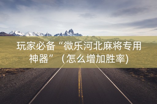 玩家必备“微乐河北麻将专用神器”（怎么增加胜率)