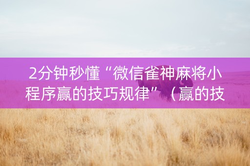 2分钟秒懂“微信雀神麻将小程序赢的技巧规律”（赢的技巧规律)
