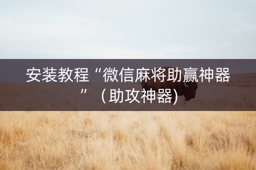 安装教程“微信麻将助赢神器”（助攻神器)