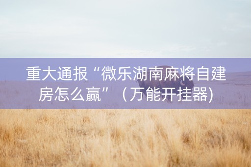 重大通报“微乐湖南麻将自建房怎么赢”（万能开挂器)