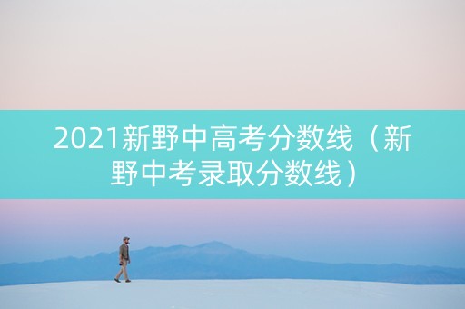 2021新野中高考分数线（新野中考录取分数线）
