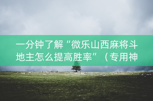 一分钟了解“微乐山西麻将斗地主怎么提高胜率”（专用神器下载)