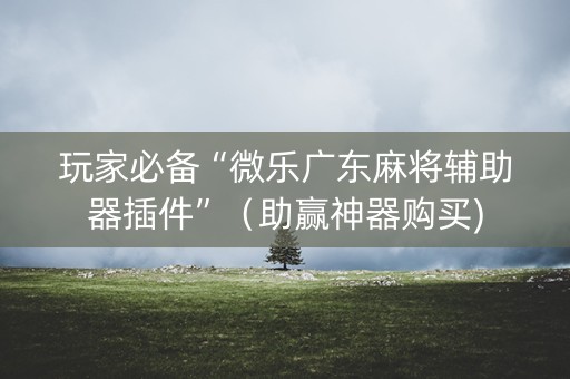玩家必备“微乐广东麻将辅助器插件”（助赢神器购买)