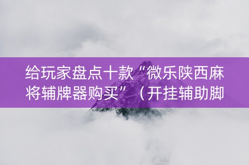 给玩家盘点十款“微乐陕西麻将辅牌器购买”（开挂辅助脚本)