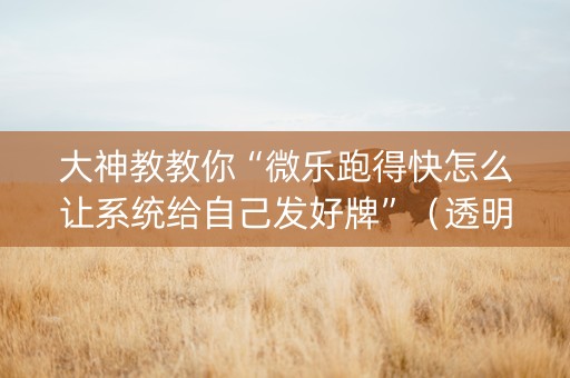 大神教教你“微乐跑得快怎么让系统给自己发好牌”（透明挂辅助器)