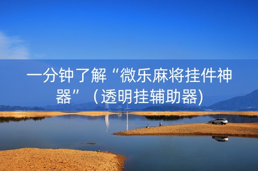 一分钟了解“微乐麻将挂件神器”（透明挂辅助器)