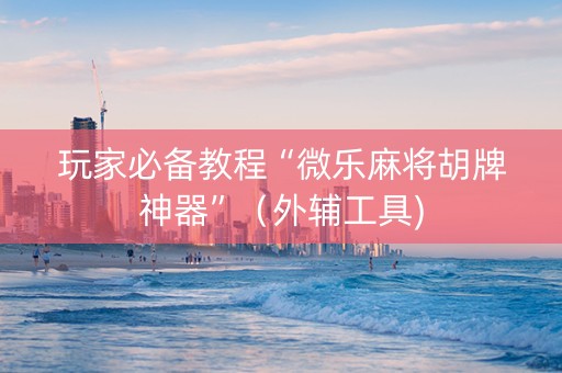 玩家必备教程“微乐麻将胡牌神器”（外辅工具)