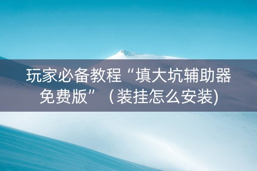 玩家必备教程“填大坑辅助器免费版”（装挂怎么安装)