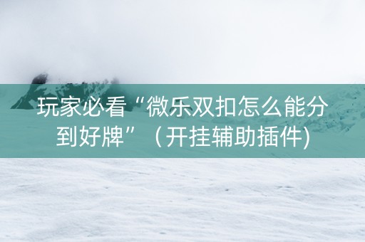 玩家必看“微乐双扣怎么能分到好牌”（开挂辅助插件)