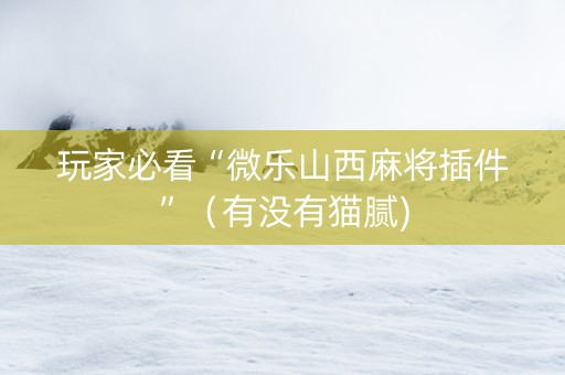 玩家必看“微乐山西麻将插件”（有没有猫腻)