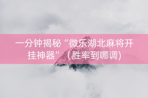 一分钟揭秘“微乐湖北麻将开挂神器”（胜率到哪调)