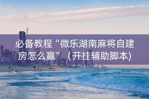 必备教程“微乐湖南麻将自建房怎么赢”（开挂辅助脚本)