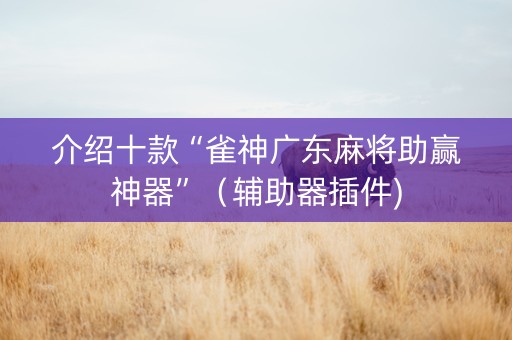 介绍十款“雀神广东麻将助赢神器”（辅助器插件)
