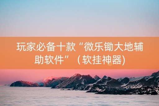 玩家必备十款“微乐锄大地辅助软件”（软挂神器)