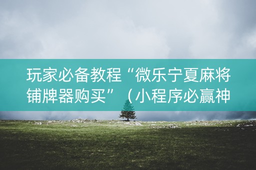 玩家必备教程“微乐宁夏麻将铺牌器购买”（小程序必赢神器)