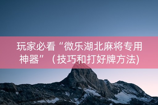 玩家必看“微乐湖北麻将专用神器”（技巧和打好牌方法)
