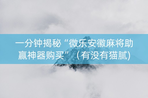 一分钟揭秘“微乐安徽麻将助赢神器购买”（有没有猫腻)