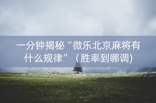 一分钟揭秘“微乐北京麻将有什么规律”（胜率到哪调)