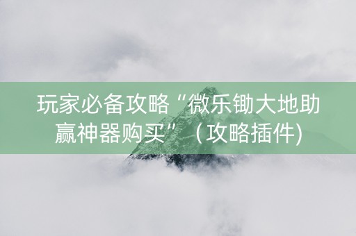 玩家必备攻略“微乐锄大地助赢神器购买”（攻略插件)