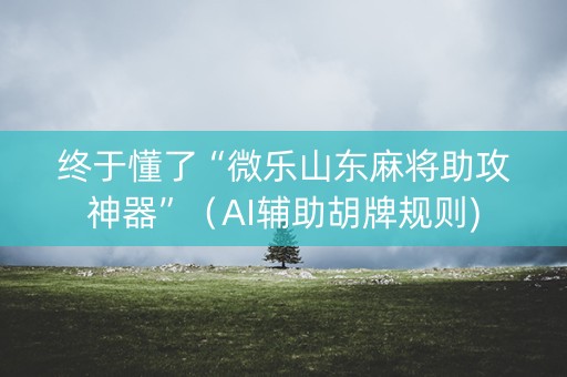 终于懂了“微乐山东麻将助攻神器”（AI辅助胡牌规则)