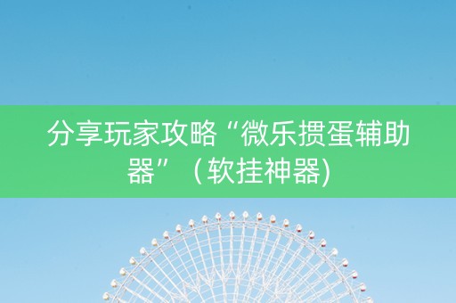 分享玩家攻略“微乐掼蛋辅助器”（软挂神器)
