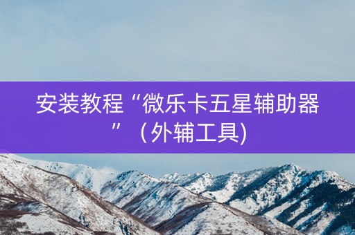 安装教程“微乐卡五星辅助器”（外辅工具)