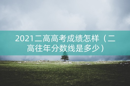 2021二高高考成绩怎样（二高往年分数线是多少）