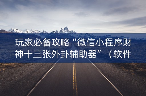 玩家必备攻略“微信小程序财神十三张外卦辅助器”（软件出售)