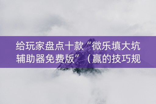 给玩家盘点十款“微乐填大坑辅助器免费版”（赢的技巧规律)