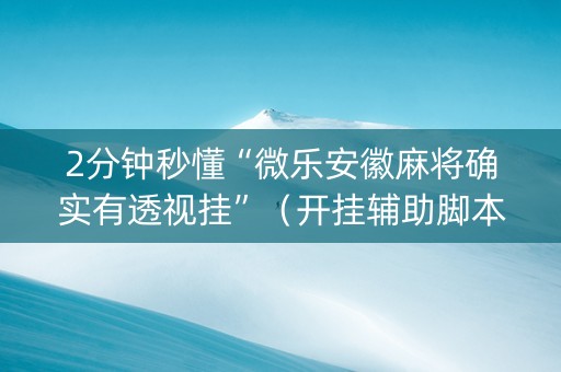 2分钟秒懂“微乐安徽麻将确实有透视挂”（开挂辅助脚本)