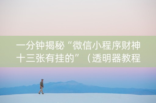 一分钟揭秘“微信小程序财神十三张有挂的”（透明器教程)