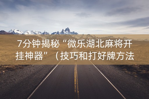7分钟揭秘“微乐湖北麻将开挂神器”（技巧和打好牌方法)
