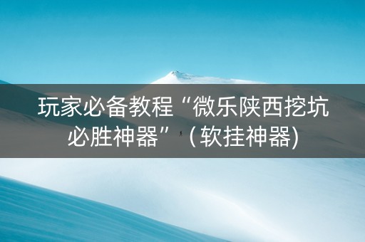 玩家必备教程“微乐陕西挖坑必胜神器”（软挂神器)
