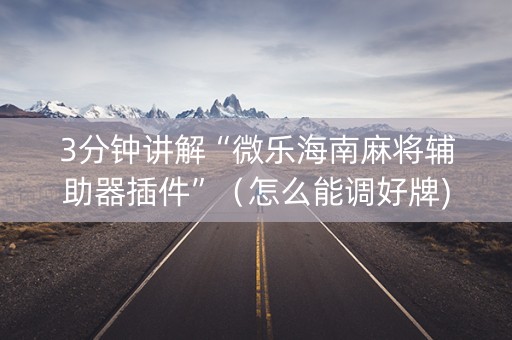 3分钟讲解“微乐海南麻将辅助器插件”（怎么能调好牌)