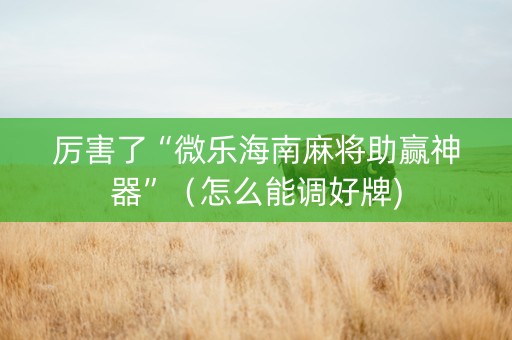 厉害了“微乐海南麻将助赢神器”（怎么能调好牌)