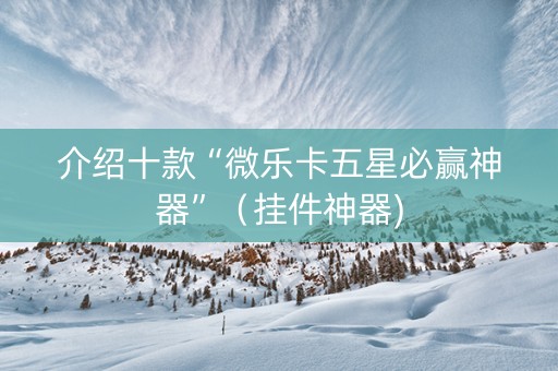 介绍十款“微乐卡五星必赢神器”（挂件神器)