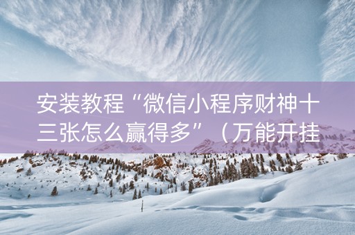 安装教程“微信小程序财神十三张怎么赢得多”（万能开挂器)