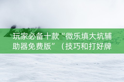 玩家必备十款“微乐填大坑辅助器免费版”（技巧和打好牌方法)