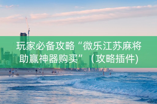 玩家必备攻略“微乐江苏麻将助赢神器购买”（攻略插件)